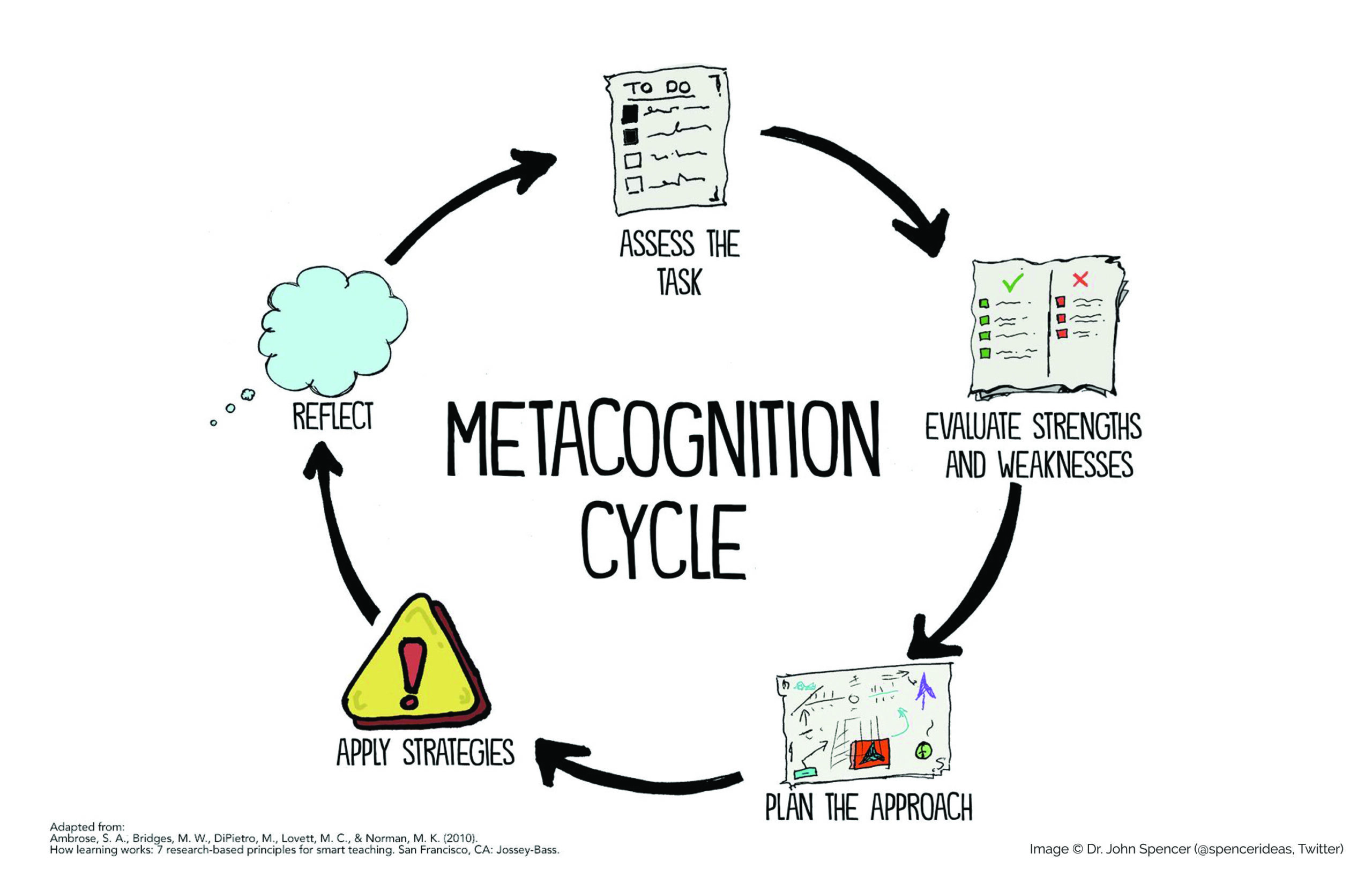 The metacognition cycle